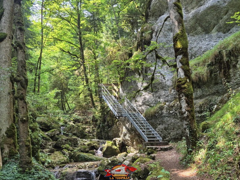 Deuxième escalier. Gorges de Perrefitte, Jura bernois.