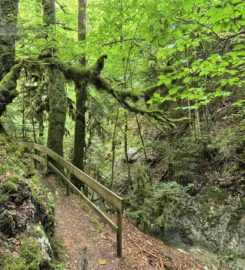 ⛰️ Gorges de Perrefitte