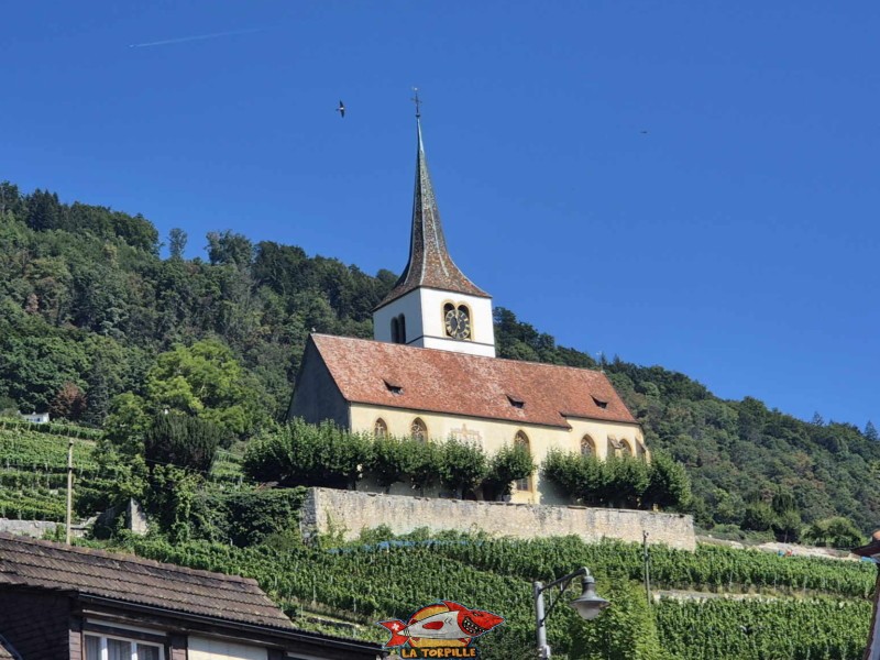 La magnifique église de Gléresse dans les vignes.