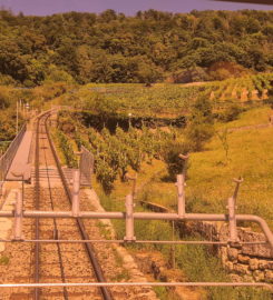 🚊 Funiculaire Gléresse (Ligerz) ↔ Prêles – Vinifuni