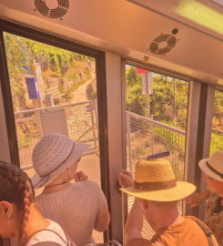 🚊 Funiculaire Gléresse (Ligerz) ↔ Prêles – Vinifuni