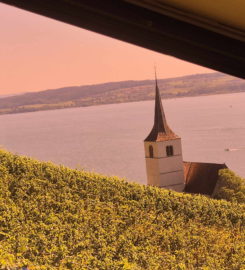 🚊 Funiculaire Gléresse (Ligerz) ↔ Prêles – Vinifuni