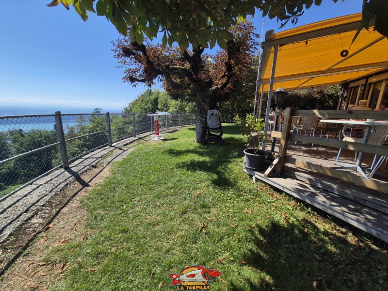 Le magnifique panorama sur les Alpes à côté de la terrasse du restaurant "La Buvette". funiuclaire Gléresse - Prêles, Vinifuni