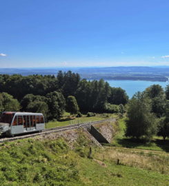 🚊 Funiculaire Gléresse (Ligerz) ↔ Prêles – Vinifuni
