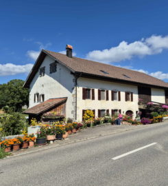 ⛰️ Gorges de Douanne