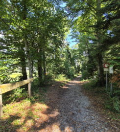 ⛰️ Gorges de Douanne