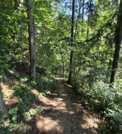 ⛰️ Gorges de Douanne