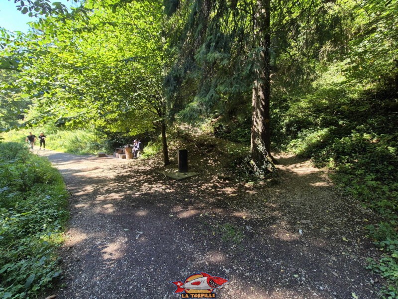Arrivé dans le lit de la rivière Douanne, le chemin descend sur une route en graviers.