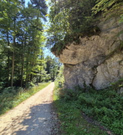 ⛰️ Gorges de Douanne