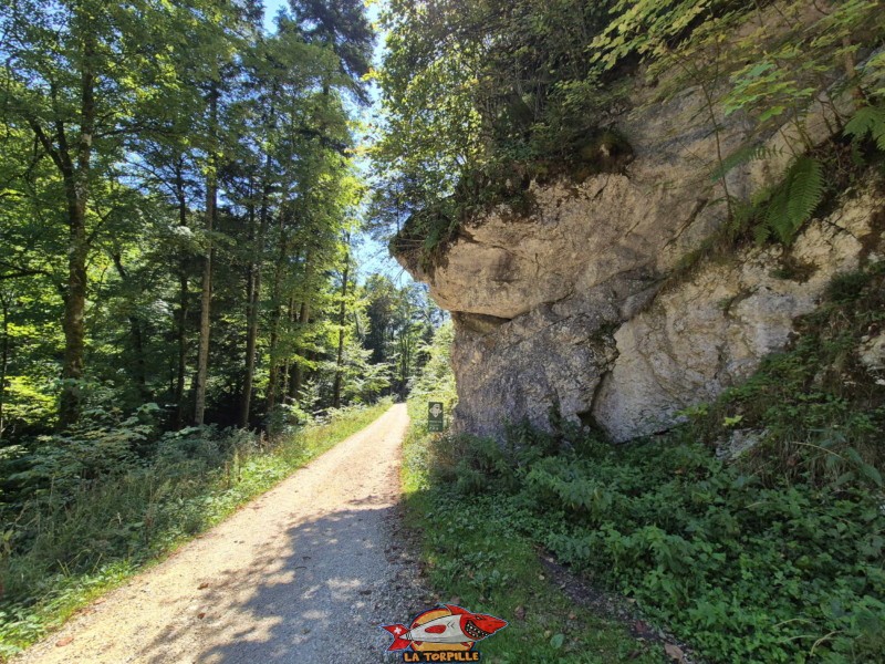 Arrivé dans le lit de la rivière Douanne, le chemin descend sur une route en graviers.