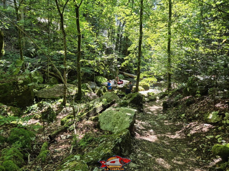 Rive droite. Gorges de Douanne, région de Bienne, canton de Berne.