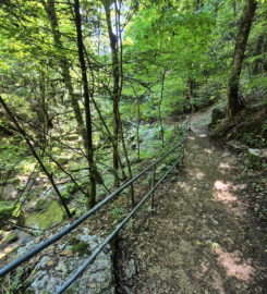 ⛰️ Gorges de Douanne