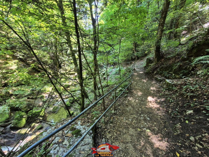 Rive droite. Gorges de Douanne, région de Bienne, canton de Berne.