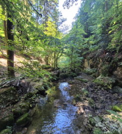 ⛰️ Gorges de Douanne