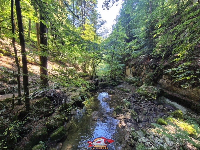 Le parcours du début de la rive gauche jusqu'au premier pont. Gorges de Douanne, région de Bienne, canton de Berne.