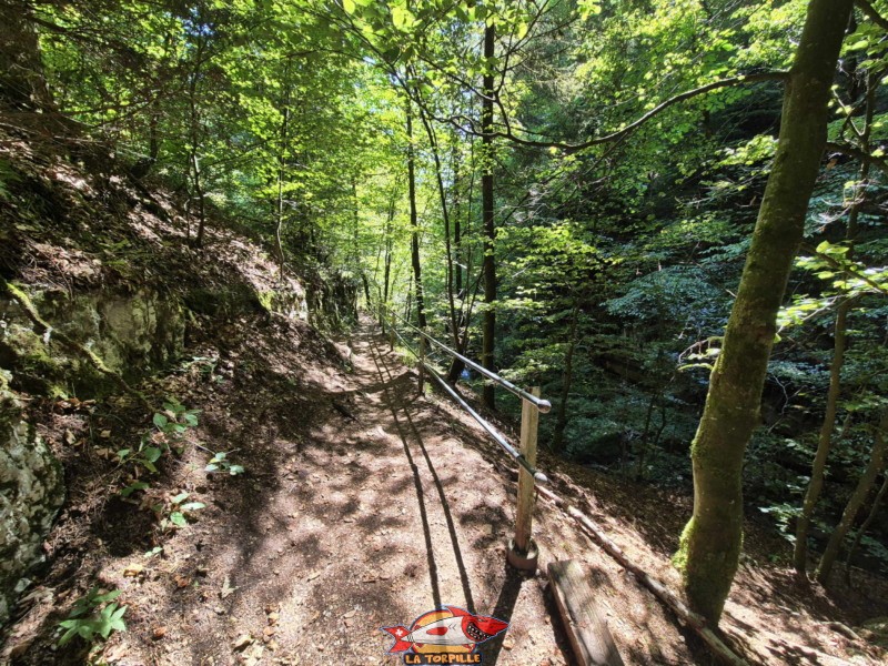 Le parcours du début de la rive gauche jusqu'au premier pont. Gorges de Douanne, région de Bienne, canton de Berne.