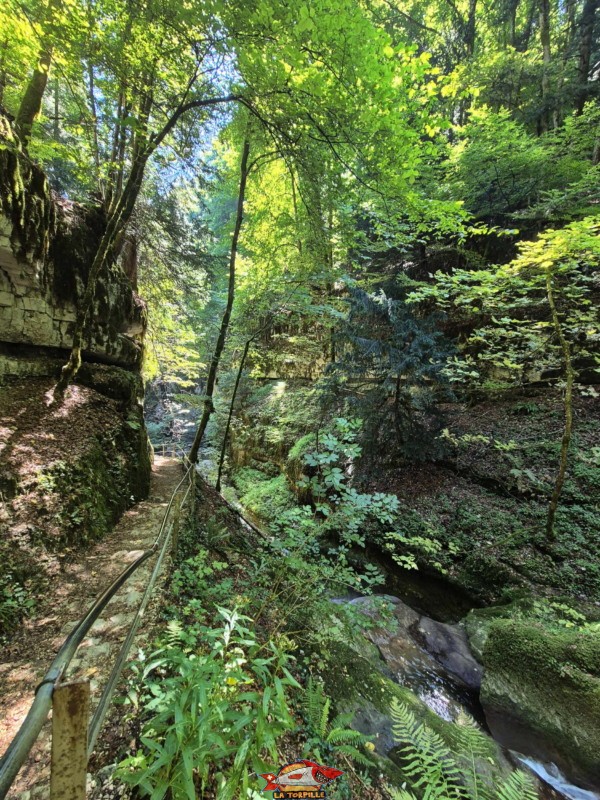 Le parcours du début de la rive gauche jusqu'au premier pont. Gorges de Douanne, région de Bienne, canton de Berne.