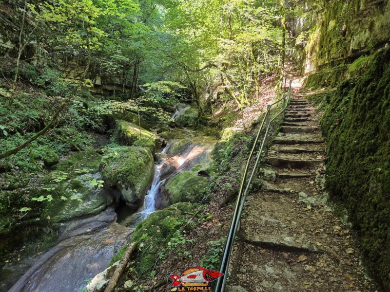 Le parcours du début de la rive gauche jusqu'au premier pont. Gorges de Douanne, région de Bienne, canton de Berne.