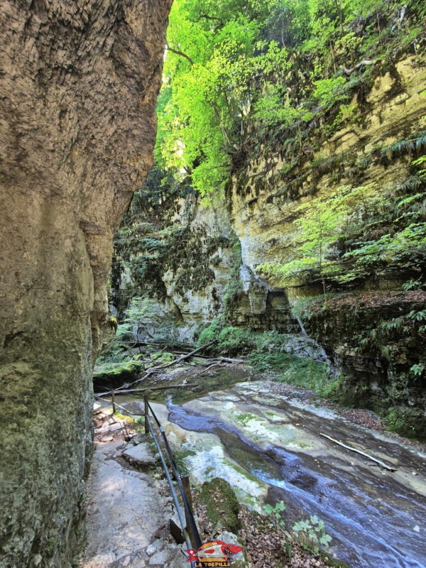 Le parcours du début de la rive gauche jusqu'au premier pont. Gorges de Douanne, région de Bienne, canton de Berne.