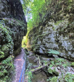 ⛰️ Gorges de Douanne