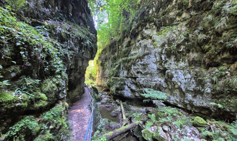 ⛰️ Gorges de Douanne