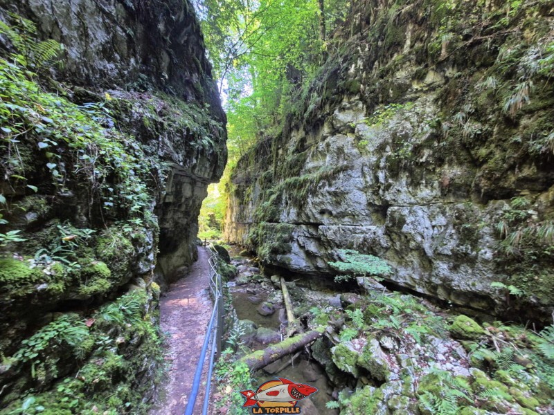 Le parcours du début de la rive gauche jusqu'au premier pont. Gorges de Douanne, région de Bienne, canton de Berne.