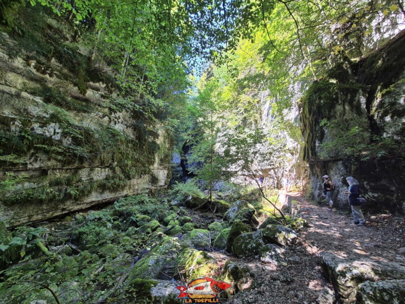 Le parcours du début de la rive gauche jusqu'au premier pont. Gorges de Douanne, région de Bienne, canton de Berne.