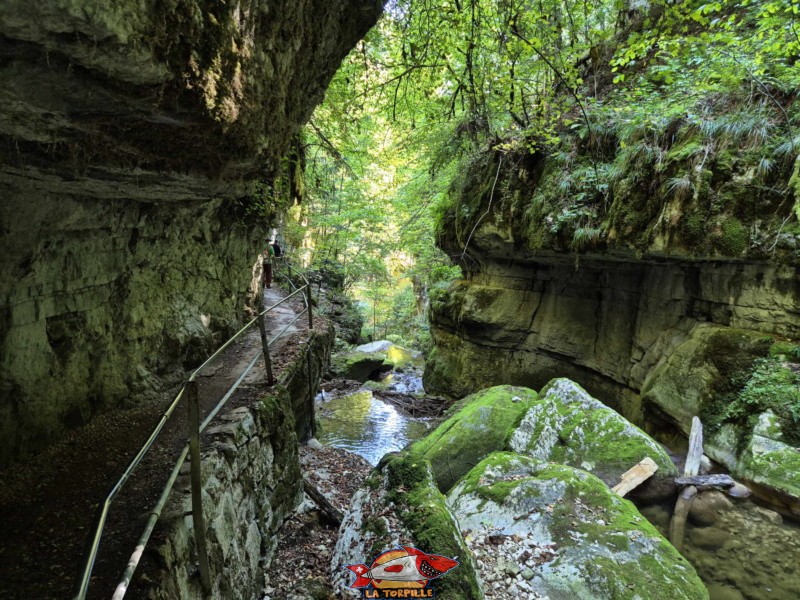 Les gorges de Douanne.