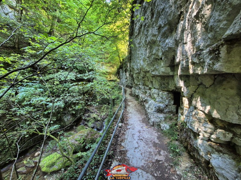 Le parcours du début de la rive gauche jusqu'au premier pont. Gorges de Douanne, région de Bienne, canton de Berne.