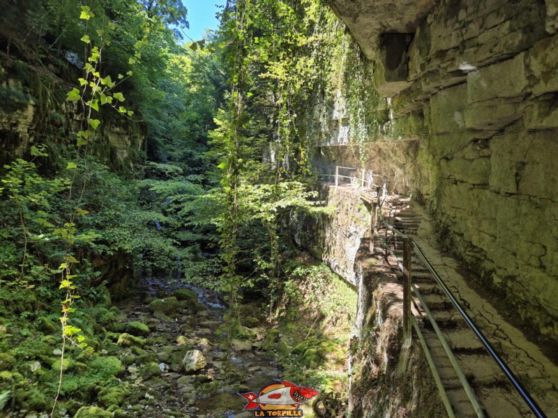Le parcours du début de la rive gauche jusqu'au premier pont. Gorges de Douanne, région de Bienne, canton de Berne.