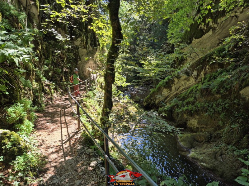 Le parcours du début de la rive gauche jusqu'au premier pont. Gorges de Douanne, région de Bienne, canton de Berne.