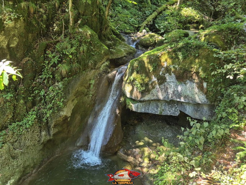 Le parcours du début de la rive gauche jusqu'au premier pont. Gorges de Douanne, région de Bienne, canton de Berne.