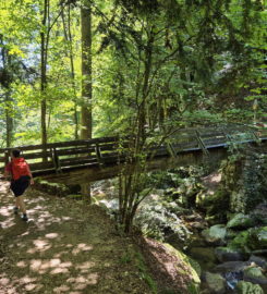 ⛰️ Gorges de Douanne