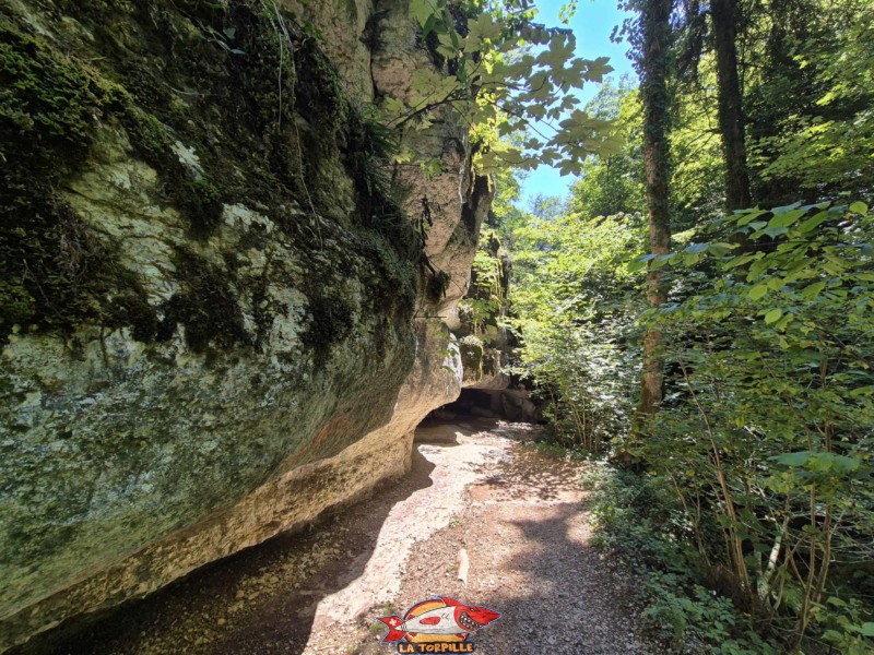 Le parcours du premier au deuxième pont, rive gauche. Gorges de Douanne, région de Bienne, canton de Berne.