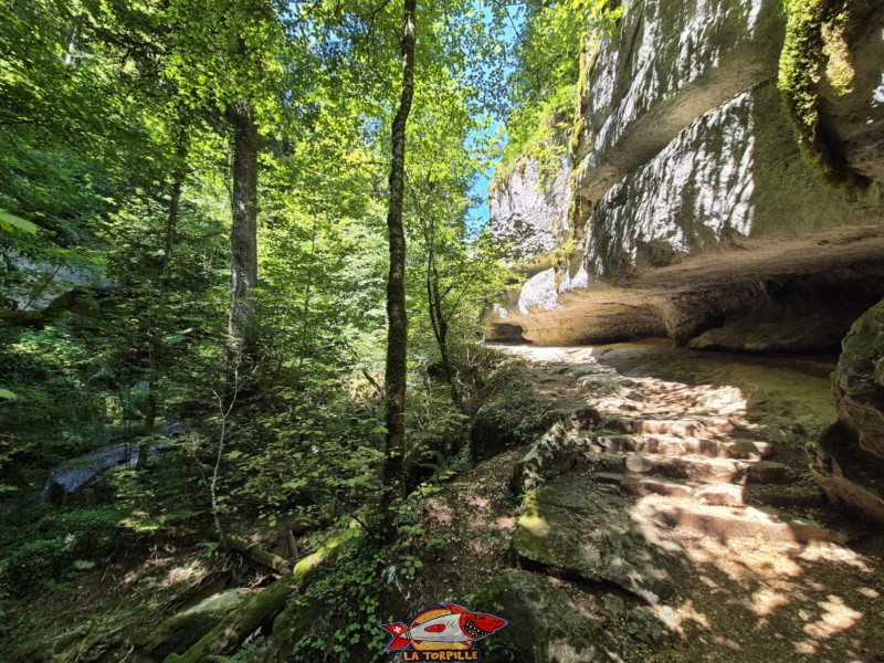 Le parcours du premier au deuxième pont, rive gauche. Gorges de Douanne, région de Bienne, canton de Berne.