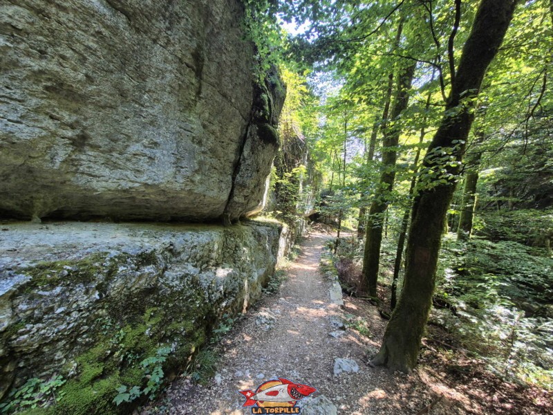 Le parcours du premier au deuxième pont, rive gauche. Gorges de Douanne, région de Bienne, canton de Berne.