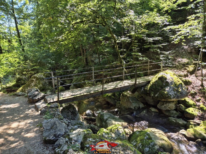 Le parcours du premier au deuxième pont, rive gauche. Gorges de Douanne, région de Bienne, canton de Berne.