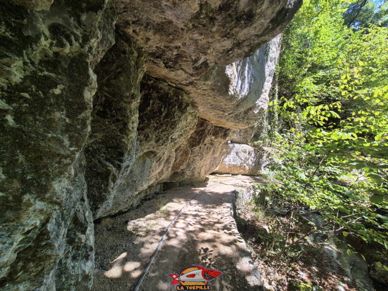 Le parcours du deuxième pont jusqu'à la caisse, en bas des gorges, rive gauche. Gorges de Douanne, région de Bienne, canton de Berne.