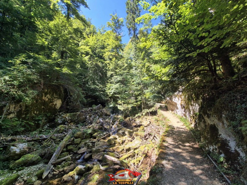 Le parcours du deuxième pont jusqu'à la caisse, en bas des gorges, rive gauche. Gorges de Douanne, région de Bienne, canton de Berne.