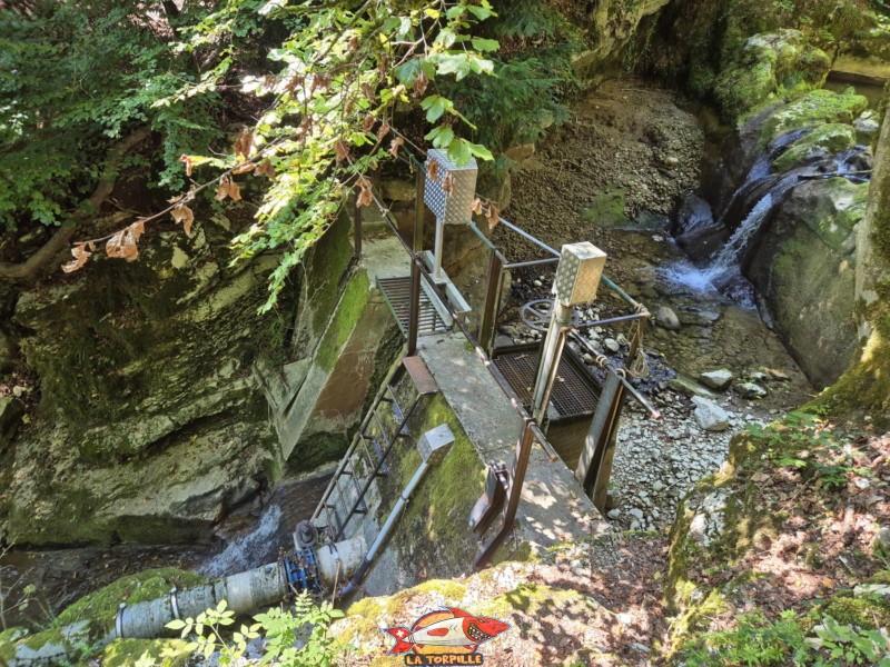 Le parcours du deuxième pont jusqu'à la caisse, en bas des gorges, rive gauche. Gorges de Douanne, région de Bienne, canton de Berne.