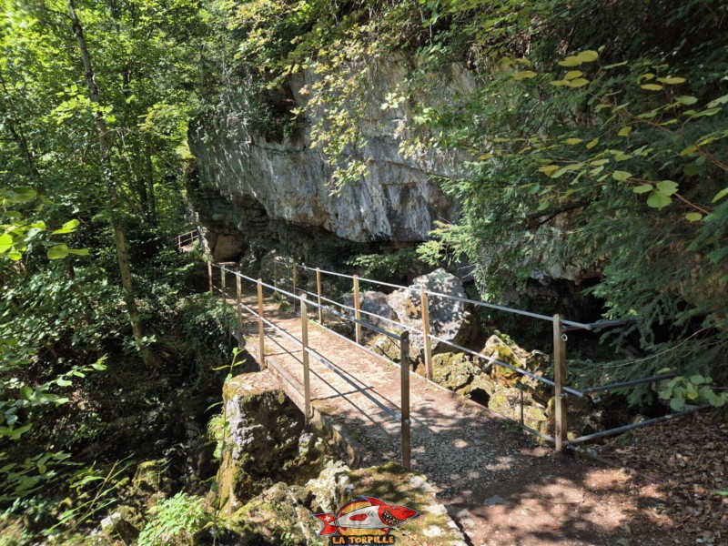 Le parcours du deuxième pont jusqu'à la caisse, en bas des gorges, rive gauche. Gorges de Douanne, région de Bienne, canton de Berne.