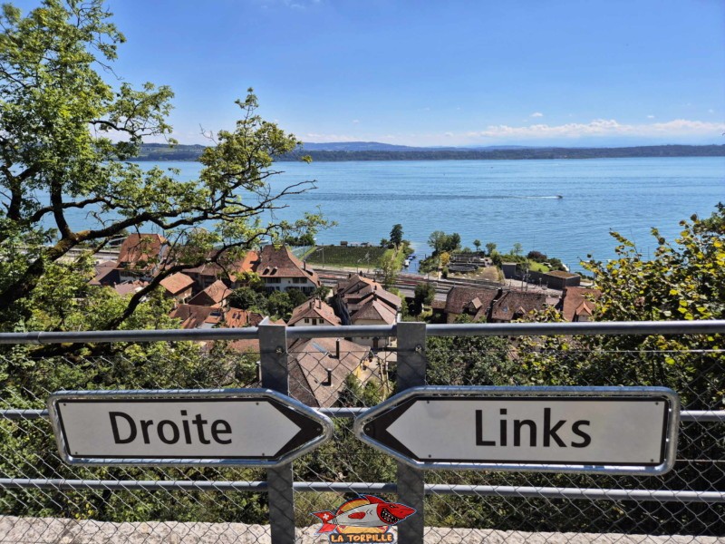 La vue depuis le pont en pierre sur la Douanne. Au milieu de l'image, on remarque l'endroit où la rivière se jette dans le lac de Bienne. Au premier plan, deux panneaux qui rappellent une région bilingue même si la commune de Douanne (Twann) est germanophone.