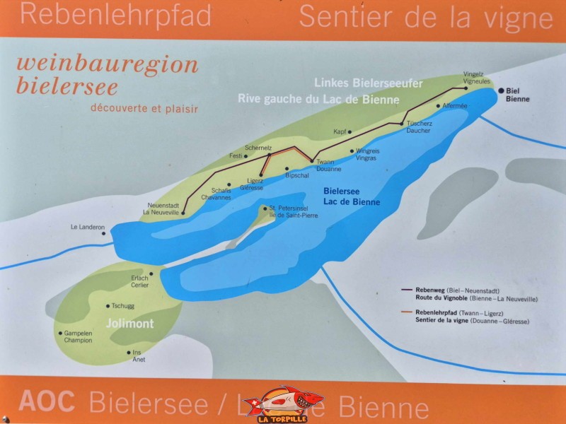 Un panneau qui montre la route de la vigne entre Vigneules (Vingelz) et La Neuveville et le sentier de la vigne entre Douanne et Gléresse (Ligerz).