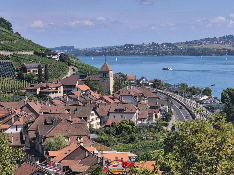 Le village de Douanne (Twann) avec son église.