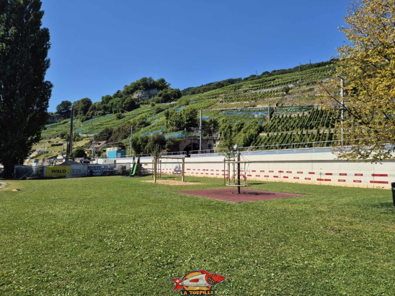 Pelouse, côté ouest. Plage de Chlyne Twann, lac de Bienne, Gléresse, Lygerz.