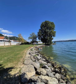 🏖️ Plage de Chlyne Twann – Gléresse