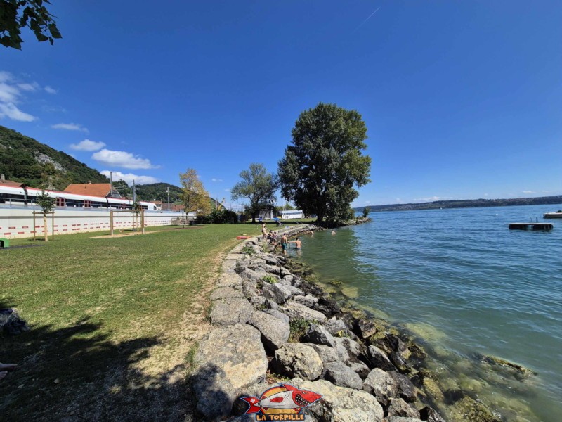 Enrochements. Plage de Chlyne Twann, lac de Bienne, Gléresse, Lygerz.
