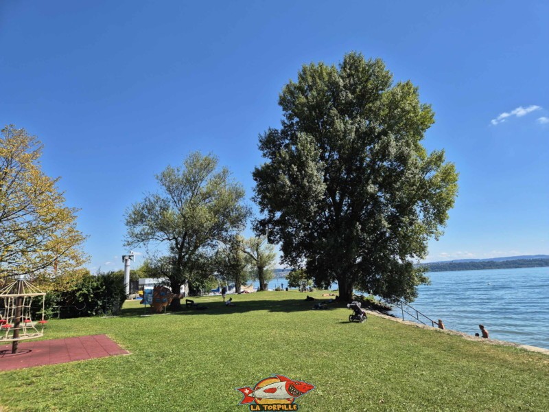 Pelouse, côté est. Plage de Chlyne Twann, lac de Bienne, Gléresse, Lygerz.