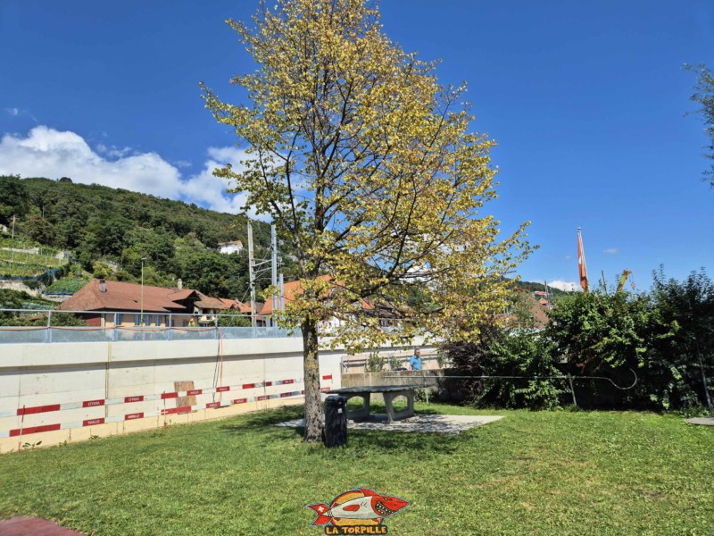 Table de ping-pong. Plage de Chlyne Twann, lac de Bienne, Gléresse, Lygerz.
