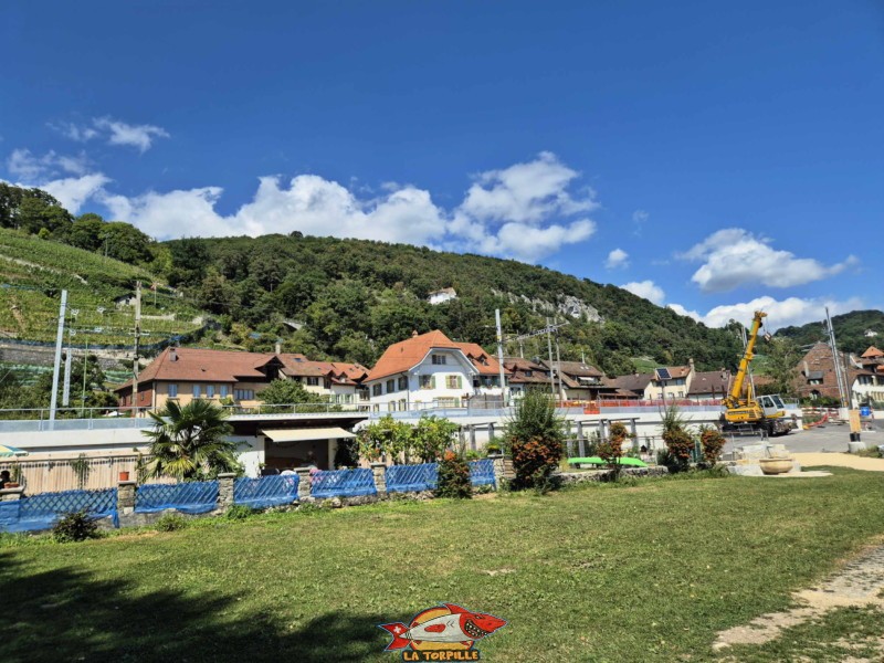 Pelouse, côté nord. Plage de Chlyne Twann, lac de Bienne, Gléresse, Lygerz.